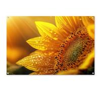 MuchoWow© Decoracion Pared Exterior 120x80 cm Posters Decorativos Jardin Terraza Balcon Wall Decoration Decoración Patio Póster De Jardín Girasol - Gotas rocío - Amarillo - Luz Solar