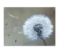 MuchoWow© Decoración Pared Exterior 120x90 cm Poster Decorativos Jardín Decoracion Terraza Balcon Wall Decoration Patio Posters Póster De Jardin Diente león - Flor - Planta