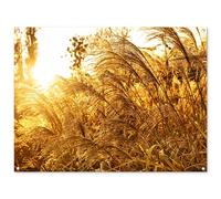 MuchoWow© Decoracion Pared Exterior 120x90 cm Posters Decorativos Jardin Terraza Balcon Wall Decoration Decoración Patio Póster De Jardín Hierba la Pampa - sol