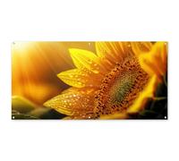 MuchoWow© Decoracion Pared Exterior 160x80 cm Posters Decorativos Jardin Terraza Balcon Wall Decoration Decoración Patio Póster De Jardín Girasol - Gotas rocío - Amarillo - Luz Solar