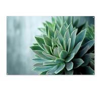 MuchoWow© Decoracion Pared Exterior 180x120 cm Posters Decorativos Jardin Terraza Balcon Wall Decoration Decoración Patio Póster De Jardín Suculenta - Hojas - Ver- Desenfocado
