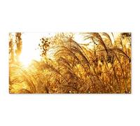 MuchoWow© Decoracion Pared Exterior 200x100 cm Posters Decorativos Jardin Terraza Balcon Wall Decoration Decoración Patio Póster De Jardín Hierba la Pampa - sol