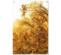 MuchoWow© Decoracion Pared Exterior 60x90 cm Posters Decorativos Jardin Terraza Balcon Wall Decoration Decoración Patio Póster De Jardín Hierba la Pampa - sol