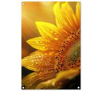 MuchoWow© Decoracion Pared Exterior 60x90 cm Posters Decorativos Jardin Terraza Balcon Wall Decoration Decoración Patio Póster De Jardín Girasol - Gotas rocío - Amarillo - Luz Solar