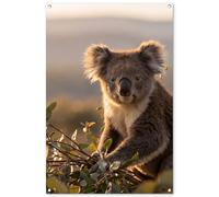 MuchoWow© Decoracion Pared Exterior 80x120 cm Posters Decorativos Jardin Terraza Balcon Wall Decoration Decoración Patio Póster De Jardín Koala - Hojas - Luz matinal