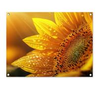 MuchoWow© Decoracion Pared Exterior 80x60 cm Posters Decorativos Jardin Terraza Balcon Wall Decoration Decoración Patio Póster De Jardín Girasol - Gotas rocío - Amarillo - Luz Solar