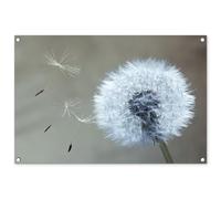 MuchoWow© Decoración Pared Exterior 90x60 cm Poster Decorativos Jardín Decoracion Terraza Balcon Wall Decoration Patio Posters Póster De Jardin Diente león - Flor - Planta