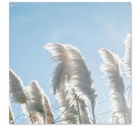 MuchoWow© Póster De Jardín 100x100 cm Terraza Exterior Accesorios Jardin Decoracion Pared Decorativa Balcon Wall Decoration Posters Decorativos Cielo - Hierba - Hierba la Pampa