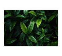 MuchoWow© Póster De Jardín 120x80 cm Terraza Exterior Accesorios Jardin Decoracion Pared Decorativa Balcon Wall Decoration Posters Decorativos Hojas - Gotas Lluvia - Luz - Verde