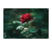 MuchoWow© Póster De Jardín 120x80 cm Terraza Exterior Accesorios Jardin Decoracion Pared Decorativa Balcon Wall Decoration Posters Decorativos Rosa - Hojas - Rojo Intenso