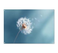 MuchoWow© Póster De Jardín 120x80 cm Terraza Exterior Accesorios Jardin Decoracion Pared Decorativa Balcon Wall Decoration Posters Decorativos Diente león - Viento - Azul