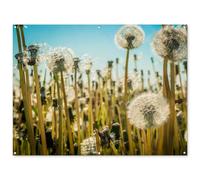 MuchoWow© Poster De Jardin 160x120 cm Decoracion Balcón Wall Decoration Adornos Pared Terraza Exterior Decoración Patio Posters Decorativos Flores - Diente león - Hierba