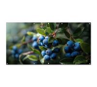 MuchoWow© Póster De Jardín 200x100 cm Terraza Exterior Accesorios Jardin Decoracion Pared Decorativa Balcon Wall Decoration Posters Decorativos Arándanos - Gotas rocío - Luz Natural