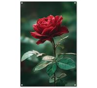 MuchoWow© Póster De Jardín 80x120 cm Terraza Exterior Accesorios Jardin Decoracion Pared Decorativa Balcon Wall Decoration Posters Decorativos Rosa - Hojas - Rojo Intenso