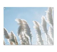MuchoWow© Póster De Jardín 80x60 cm Terraza Exterior Accesorios Jardin Decoracion Pared Decorativa Balcon Wall Decoration Posters Decorativos Cielo - Hierba - Hierba la Pampa