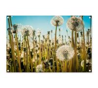 MuchoWow© Poster De Jardin 90x60 cm Decoracion Balcón Wall Decoration Adornos Pared Terraza Exterior Decoración Patio Posters Decorativos Flores - Diente león - Hierba