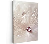 MuchoWow© Quadro Moderno Soggiorno 40x60 cm Decorazioni Da Parete Quadri Su Tela Da Salotto Grandi Foto Con Cornice Stampe Su Tela Camera Da Letto Fiore - Astratto - Bianco - Acqua - Natura