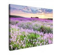 MuchoWow© Quadro su Tela 40x30 cm Stampe da Parete Quadri Cucina Camera da Letto Dipinto Arredamento Casa Fiori - Lavanda - Viola - Cielo - Tramonto - Prato - Natura