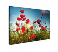 MuchoWow© Stampa di Foto su Tela 120x80 cm Quadro Soggiorno Moderno Quadri per Salotto Decorazioni Camera Papaveri - Toscana - Sole - Rosso - Blu