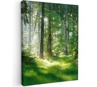 MuchoWow© Stampa su Tela 50x70 cm Canvas Quadri per il Soggiorno Quadro Camera da Letto Decorazioni Parete Natura - Alberi - Foresta - Verde - Sole - Erba - Piante