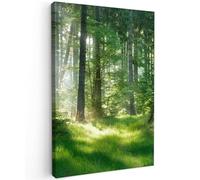 MuchoWow© Stampa su Tela 60x90 cm Canvas Quadri per il Soggiorno Quadro Camera da Letto Decorazioni Parete Natura - Alberi - Foresta - Verde - Sole - Erba - Piante