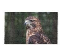 MuchoWow© Zerbino deurm_150x90 cm Multicolore Ingresso Zerbini Arredamento Porta Tappetini Antiscivolo Tappeti Divertenti Sottile Poiana - Uccello rapace - Natura - Marrone