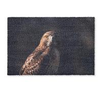 MuchoWow© Zerbino deurm_180x120 cm Multicolore Ingresso Zerbini Arredamento Porta Tappetini Antiscivolo Tappeti Divertenti Sottile Uccello rapace - Poiana - Marrone