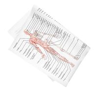 MUCKLILY 1 Pz manifesto di anatomia ossa anatomia del modello della colonna vertebrale anatomia e fisiologia poster di anatomia scientifica immagine di anatomia panno di seta