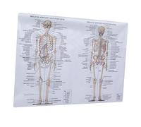 MUCKLILY 1 Pz Poster di anatomia umana osso figura di grandi dimensioni anatomico laminato corpo torso umano poster del scheletrico poster muscolare panno di seta