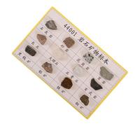 MUCKLILY 12 Pezzi esporre campioni di roccia kit roccia esemplare di roccia campione di roccia da collezionare corredo di geologia kit di roccia minerale collezione di rocce plastica