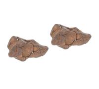 MUCKLILY 2 Pezzi Di Meteorite Campioni Scientifici Minerali Frammenti Di Meteorite Decorazioni Per La Tavola Meteoriti Educative Giocattoli Educativi Meteore Campioni Di Meteorite
