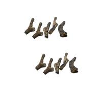 MUCKLILY 2 Set Fossile Belimide Esemplare Didattico Ornamento Da Scrivania Paleontologia Campione Decorazione Antico Adormento Del Tavolo Giocattoli Per 5 Pezzi*2