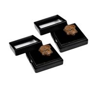 MUCKLILY 3 Set Esemplare Di Meteorite Olivastro Meteorite Decorazione Esemplari Ciondolo Meteorite Ragazzo Roccia Meteoritica Esemplare Fossile Colore Casuale 2 Pezzi*3