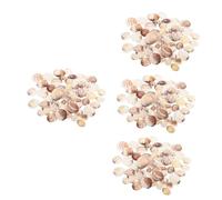 MUCKLILY 4 Pezzi 1 Conchiglia Decorazioni Vaso Riempitivo Serbatoio Conchiglia Acquario Ghiaia Piccolo Materiale Mare Piccolo A Tema con Conchiglie Decorare Colorato Mini Conchiglia Fai da