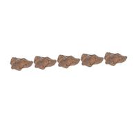 MUCKLILY 5 Pezzi Di Meteorite Campione Scientifico Frammenti Di Meteorite Meteore Vere Meteoriti Educative Rocce E Minerali Meteoriti Decorazioni Da Tavola Decorazioni Per La