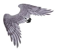 MUCKLILY Ala D’angelo per Cosplay Bambina Nera, Accessorio per Spettacoli Teatrali e Feste di Halloween, Grande Ala di Fata Leggera e Resistente per Costumi Carnevale