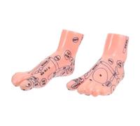 MUCKLILY Figura Piede per Stimolazione Riflessologia e Agopuntura Strumento Didattico Realistico per Studio Punti di Agopuntura Supporto per Insegnamento Tecniche Piedi e del Piede