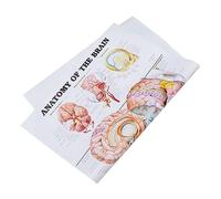 MUCKLILY Poster di analisi scheletro Grafici del corpo umano laminato apprendimento poster anatomico insegnare muscolo parti Poster di anatomia umana manifesto anatomico tela
