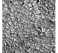 MUD DAY - EARTH NO MAD