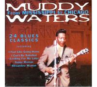 Muddy Waters - From Mississippi to Chicago