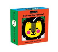 Mudpuppy How Are You Feeling? Shaped Ring Flash Cards (Cards)