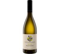Müller Thurgau 'Merus' 2025 - Tiefenbrunner