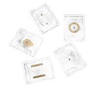 MUELODSIC 5 Set Set con Limatura di Ferro Dispositivi Dimostrativi Elettromagnetismo Kit Didattico Fisica Strumento per Studenti Scuola per Esperimenti Scientifici