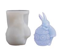 Muffa che rimbalza l'epossidico dell'intonaco per il presente del sapone che fa la muffa della