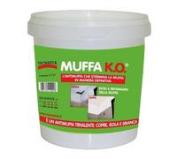 MUFFA KO TECNOSTUK ANTIMUFFA SPECIALE SBIANCANTE COPRENTE IGIENIZZANTE 1 LITRO