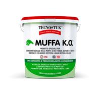 Muffa KO Tecnostuk Elimina Sbianca Copre Muffa Muri Interni Fondo Antimuffa 1 Lt