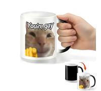 Mug Magique Cadeau pour Ami Gay Humour Tasse qui Change de Couleur Avec la Chaleur Idee Cadeaux Anniversaire pour Homme Collègue Meilleure Amie Collegue Tasses a Cafe Cappuccino Ceramique Mugs Drole
