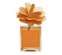 MUHA' | Profumatore per ambiente Flower Diffuser, Fragranza Cedro e Bergamotto, Diffusore Ambiente con Fiore in Legno di Betulla, Formato da 500 ml