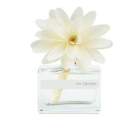 MUHA' | Profumatore Flower Diffuser, Iris Cipriato, 30 ml | Profumatore per AmbientiDiffusore Ambiente con Fiore in Legno di Betulla