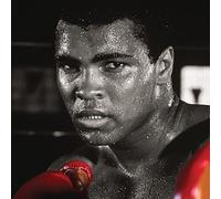 Muhammad Ali Stampa su Tela guantoni da Boxe, Multicolore, 40 x 40 cm